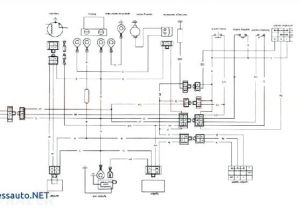 Kazuma 50cc atv Wiring Diagram Redcat Wiring Diagram Wiring Diagrams