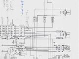 Kazuma 50cc atv Wiring Diagram Viva 50cc Wiring Diagram Wiring Diagram Review