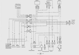 Kazuma 50cc atv Wiring Diagram Viva 50cc Wiring Diagram Wiring Diagram Review