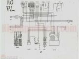 Kazuma Meerkat 50 Wiring Diagram 50cc Chinese Scooter Wiring Diagram Wiring Diagrams Kazuma Meerkat 50 Wiring Diagram 50cc Chinese Scooter Wiring Diagram Wiring Diagrams
