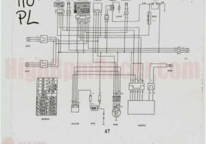 Kazuma Meerkat 50 Wiring Diagram 50cc Chinese Scooter Wiring Diagram Wiring Diagrams Kazuma Meerkat 50 Wiring Diagram 50cc Chinese Scooter Wiring Diagram Wiring Diagrams