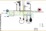 Kazuma Meerkat 50 Wiring Diagram Cc 50cc Wiring Diagram Wiring Diagram