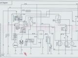 Kazuma Meerkat 50 Wiring Diagram Dinli Wiring Diagram Wiring Diagram Kazuma Meerkat 50 Wiring Diagram Dinli Wiring Diagram Wiring Diagram