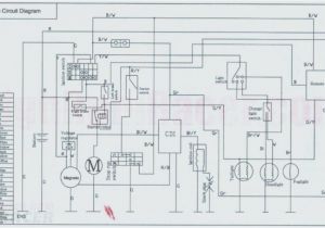 Kazuma Meerkat 50 Wiring Diagram Dinli Wiring Diagram Wiring Diagram Kazuma Meerkat 50 Wiring Diagram Dinli Wiring Diagram Wiring Diagram