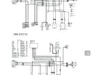 Kazuma Meerkat 50 Wiring Diagram Kazuma Raptor 50cc atv Wiring Diagram Wiring Diagram