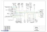 Kazuma Meerkat 50 Wiring Diagram Tao Tao 50cc Wiring Diagrams Wiring Diagram Name