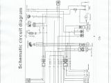 Kazuma Mini Falcon 90 Wiring Diagram 49cc atv Wiring Diagram Wiring Diagram Kazuma Mini Falcon 90 Wiring Diagram 49cc atv Wiring Diagram Wiring Diagram