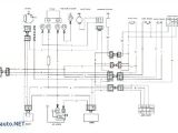 Kazuma Mini Falcon 90 Wiring Diagram Kazuma 150 Wiring Diagram Wiring Diagram Kazuma Mini Falcon 90 Wiring Diagram Kazuma 150 Wiring Diagram Wiring Diagram
