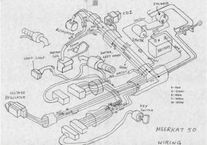 Kazuma Mini Falcon 90 Wiring Diagram Kazuma 150 Wiring Diagram Wiring Diagram