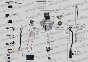 Kazuma Mini Falcon 90 Wiring Diagram Kazuma Wiring Diagram Wiring Diagram Centre