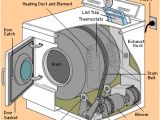 Kenmore Dryer thermostat Wiring Diagram why is My Dryer so Noisy and How Do I Fix It with Images