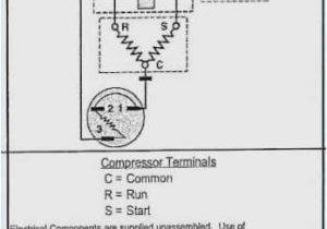 Kenmore Refrigerator Ice Maker Wiring Diagram Kenmore Refrigerator Relay Wiring Diagram Wiring Diagrams Lol