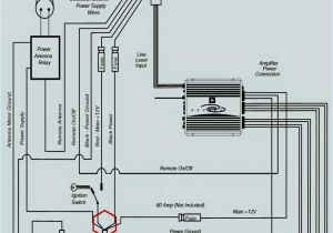 Kenwood Ddx470 Wiring Diagram Kenwood Ddx470 Wiring Diagram Wiring Diagrams Kenwood Ddx470 Wiring Diagram Kenwood Ddx470 Wiring Diagram Wiring Diagrams