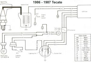 Kenwood Kdc 1028 Wiring Diagram Zuma Wiring Diagram Wiring Diagram Kenwood Kdc 1028 Wiring Diagram Zuma Wiring Diagram Wiring Diagram