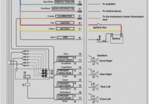 Kenwood Kdc 255u Wiring Diagram Wiring Diagram Kenwood Kdc 155u Wiring Diagram