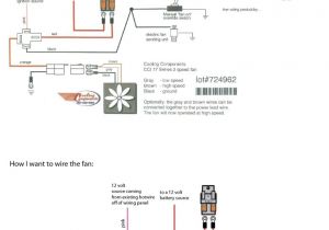 Kenworth Engine Fan Wiring Diagram Kenworth W900 Engine Diagram Fan Cuk Coo Literaturagentur Kenworth Engine Fan Wiring Diagram Kenworth W900 Engine Diagram Fan Cuk Coo Literaturagentur