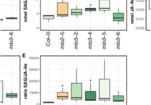 Keyence Light Curtain Wiring Diagram Pdf Arabidopsis Mlo3 Mutant Plants Exhibit Spontaneous