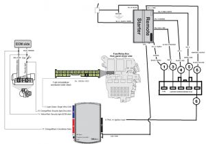 Keyless Entry Wiring Diagram Viper Remote Start Wiring Wiring Diagram Database