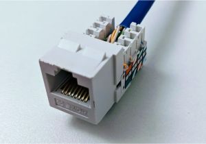 Keystone Jack Cat6 Wiring Diagram Cat6 Jack Wiring Pro Wiring Diagram Keystone Jack Cat6 Wiring Diagram Cat6 Jack Wiring Pro Wiring Diagram