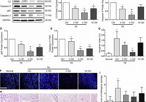 Keystone Rv Wiring Diagram Keystone Passport Reviews On Keystone Rv Floor Plans Beautiful Keystone Rv Wiring Diagram Keystone Passport Reviews On Keystone Rv Floor Plans Beautiful