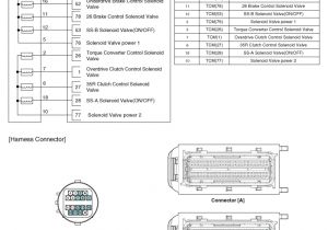 Kia Sportage Wiring Diagram Service Manual Kia Sedona Overdrive Clutch Control solenoid Valve Od C Vfs