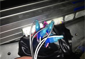 Kicker Bass Station Wiring Diagram Powered Sub Wiring Wiring Diagram Kicker Bass Station Wiring Diagram Powered Sub Wiring Wiring Diagram