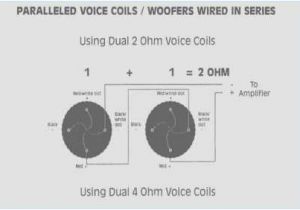 Kicker L7 Wiring Diagram 1 Ohm L7 solo Baric Wiring Diagram Wiring Diagram Article Review Kicker L7 Wiring Diagram 1 Ohm L7 solo Baric Wiring Diagram Wiring Diagram Article Review