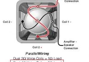 Kicker L7 Wiring Diagram solo Baric L7 Wiring Diagram Wiring Diagram