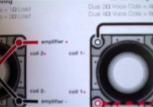 Kicker solo Baric Wiring Diagram Kicker Subwoofer Wiring Relay Kicker Q Series Kicker Stereo Kicker solo Baric Wiring Diagram Kicker Subwoofer Wiring Relay Kicker Q Series Kicker Stereo