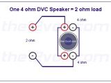 Kicker Wiring Diagram Dvc Dual Dvc Wiring In Kicker L5 12 Diagram Eyelash Me