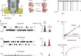 Kim Hotstart Wiring Diagrams Direct Electrical Quantification Of Glucose and asparagine From