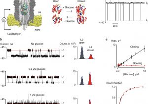 Kim Hotstart Wiring Diagrams Direct Electrical Quantification Of Glucose and asparagine From Kim Hotstart Wiring Diagrams Direct Electrical Quantification Of Glucose and asparagine From