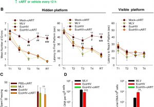 Kim Hotstart Wiring Diagrams Ecohiv Infection Of Mice Establishes Latent Viral Reservoirs In T Kim Hotstart Wiring Diagrams Ecohiv Infection Of Mice Establishes Latent Viral Reservoirs In T