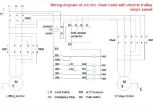 Kito Electric Chain Hoist Wiring Diagram Cm250 Wiring Diagram Wiring Diagram