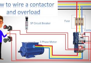 Klixon Motor Protector Wiring Diagram How to Wire A Contactor and Overload Direct Online Starter by Earthbondhon