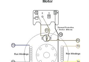 Klixon thermostat Wiring Diagram Dayton 1 2 Hp Motor Wiring Diagram New Dayton Wiring Diagram 21