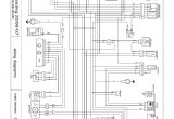Ktm 450 Exc Wiring Diagram Ktm 250 Wiring Diagram Wiring Diagram Host