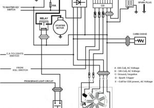 Kymco 50cc Scooter Wiring Diagram Scooter Wildfire Sunl Znen Jinlun Madami Benelli 50cc Gy6