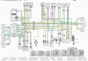 Kymco 50cc Scooter Wiring Diagram Wiring Diagram for Kymco Agility 50 Download Free and