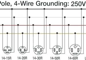 L14 20 Plug Wiring Diagram 30a Twist Lock Wire Diagram Wiring Diagram