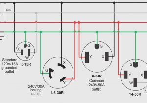 L14 30 Plug Wiring Diagram 120vac Male Plug Diagram Wiring Diagram L14 30 Plug Wiring Diagram 120vac Male Plug Diagram Wiring Diagram