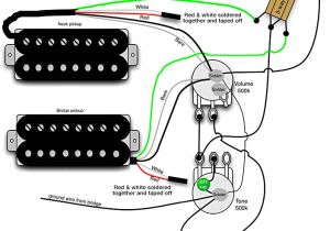 Lace Pickup Wiring Diagrams Electric Guitar Wiring Diagram Two Pickup Wiring Diagram Fascinating