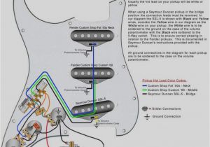 Lace Pickup Wiring Diagrams the Strat Wiring Diagram My Wiring Diagram