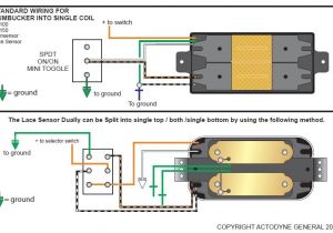 Lace Sensor Wiring Diagram Lace Hemi Humbucker Wiring Diagrams Wiring Diagram World