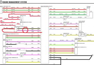 Land Rover Freelander 2 Wiring Diagram Land Rover Radio Wiring Wiring Diagram Land Rover Freelander 2 Wiring Diagram Land Rover Radio Wiring Wiring Diagram