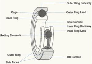 Landa Pressure Washer Wiring Diagram What You Need to Know About Pump Bearing Housings