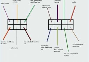Latching Relay Wiring Diagram Wiring Diagram Latching Relay Unique Electrical Luxury Bayou Latching Relay Wiring Diagram Wiring Diagram Latching Relay Unique Electrical Luxury Bayou