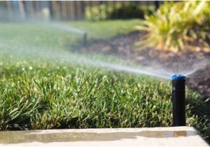 Lawn Sprinkler System Wiring Diagram Turning A Lawn Sprinkler System Back On In the Spring Lawn Sprinkler System Wiring Diagram Turning A Lawn Sprinkler System Back On In the Spring