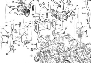 Lb7 Engine Wiring Harness Diagram Duramax Engine Parts Diagram Wiring Diagram Lb7 Engine Wiring Harness Diagram Duramax Engine Parts Diagram Wiring Diagram