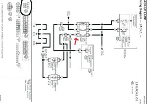 Ledmo Led Flood Lights Wiring Diagram Flood Light Wiring Vilttitarha Info Ledmo Led Flood Lights Wiring Diagram Flood Light Wiring Vilttitarha Info